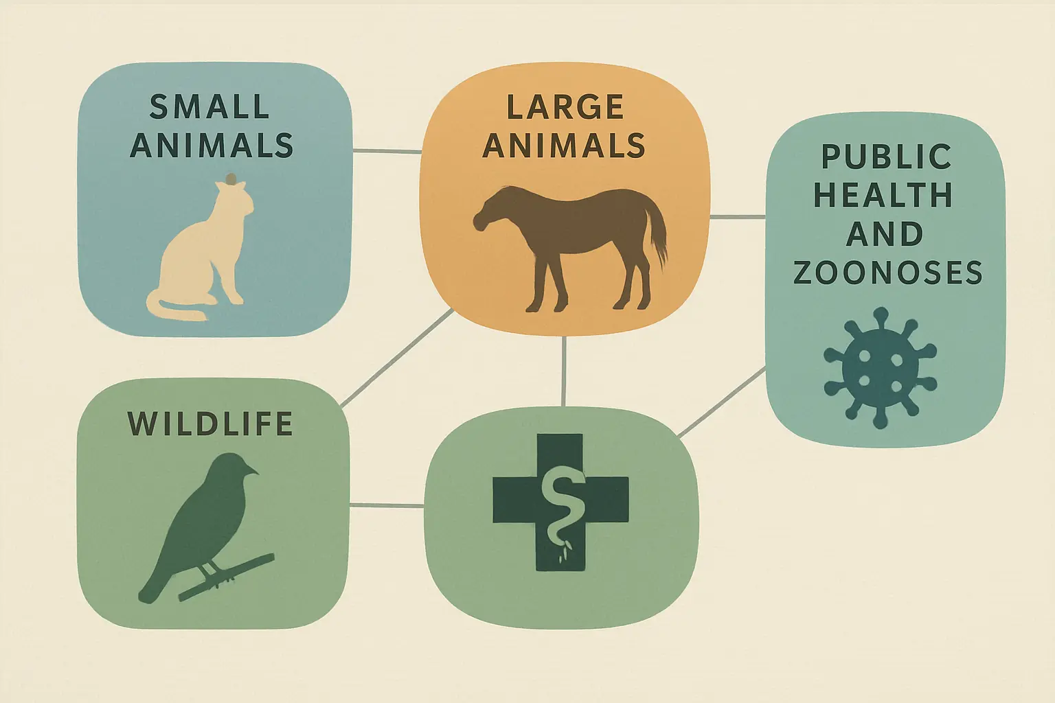 Mapa visual das especialidades de TCC em Medicina Veterinária: pequenos animais, grandes animais, animais silvestres, saúde pública e zoonoses com abordagem Um Só Saúde